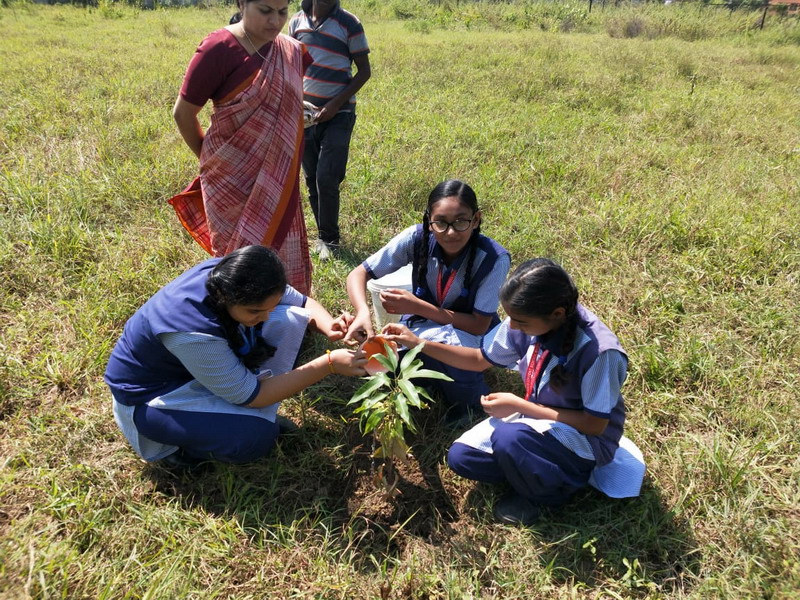 Plantation-Day